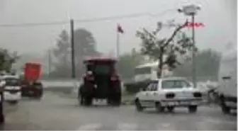 Kırklareli'de fırtına dev ağaçları kökünden söktü