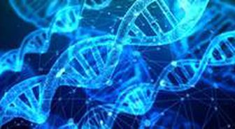 Kişiye özel diyet: DNA diyeti! DNA diyeti nedir?