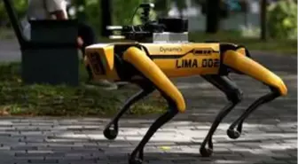 Boston Dynamics Spot Satışa Sunuldu! İşte Dudak Uçuklatan Fiyatı