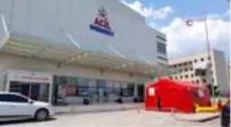 Kastamonu'da kenenin ısırdığı 7 kişi tedavi altına alındı