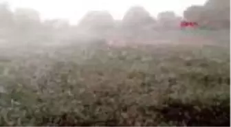 Tokat'ta dolu tarım arazilerine zarar verdi