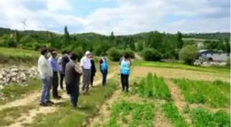 Uşak'ta 'Doğal Yaşam Köyü ve Lavanta Bahçeleri' projeleri hayata geçiyor