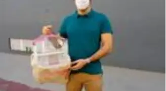 Son dakika haberi | Evden kaçan muhabbet kuşunu bulana, para ödülü verecek