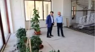 Başkan Akgün makam balkonunda organik meyve ve sebze yetiştiriyor