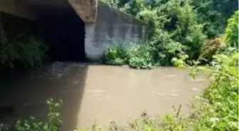 İznik Gölü'ne karışan derenin rengi siyaha döndü