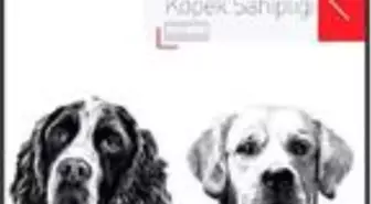Sorumlu Köpek Sahipliği Rehberi yayınlandı