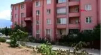 'Ağaç katliamı' ile suçlanan akademisyen Önce diktim diye hakarete uğradım şimdi de kestim diye