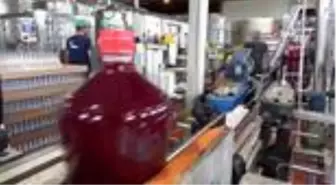 Korona virüs ve tescil şalgam ihracatını arttırdı