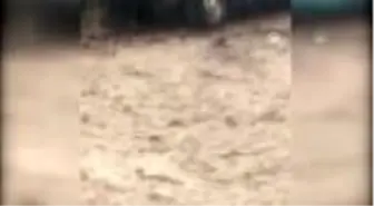 Sağanak yağış etkili oldu