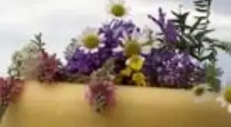 Rengini doğadan alan eski Kars kaşarı lezzetiyle damaklarda iz bırakıyor