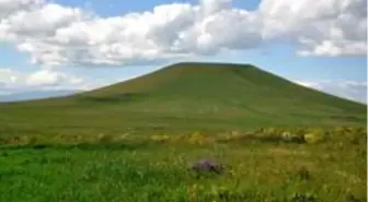 Kars'ta Kavılca buğdayı dönemi başladı