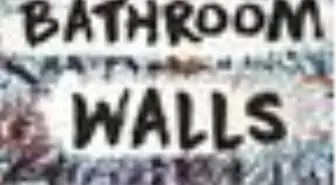 Words on Bathroom Walls Filmi