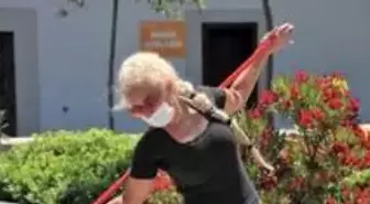 Büyükşehir Belediyesi'nden kadınlara özel spor etkinliği