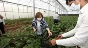 Tarımsal Eğitim ve Yöresel Ürünler İşleme Merkezi ilk ürününü verdi