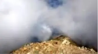 Uludaz Tepesi'ndeki uğur böceklerine vatandaş ilgisi