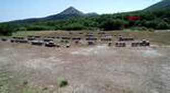 ÇANAKKALE Gökçeada'da 'damızlık kraliçe arılar' üretiliyor -1