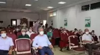 Mersin'de yeni bir muz çeşidi geliştirildi: Alata Azmanı