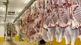 Kocaeli mezbahanelerinde 633 ton et kesildi