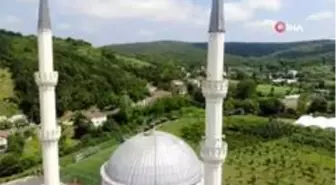 Yapıldığı günden beri leyleklerin yuvası Değirmendere Camii görüntülendi