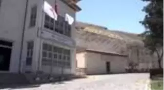 'Bereketin sembolü' kelaynaklarda yüksek yavru beklentisi