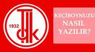 Keçiboynuzu nasıl yazılır? TDK'ya göre Keçiboynuzu mu, Keçi boynuzu mu? Keçiboynuzu ne demek?