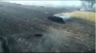 Anız yangını ormana sıçradı