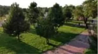 Atlı zabıtalar denetime başladı