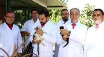 Aydın Veteriner Hekimleri Odası Başkanı Şahin, 'Hayvan sevgisi şifadır'