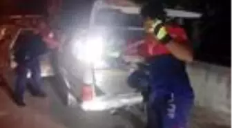 Bagajdan yılan çıktı
