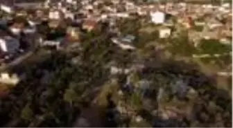 Beyşehir Gölü Milli Parkı'ndaki Leylekler Vadisi'ne ziyaretçi ilgisi artıyor