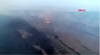 Çanakkale'deki yangında canlarını ve hayvanlarını son anda kurtardılar