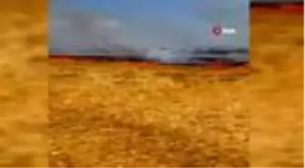 Çanakkale il sınırında korkutan yangın