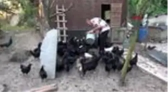 Emekli astsubay mini hayvanat bahçesi kurdu