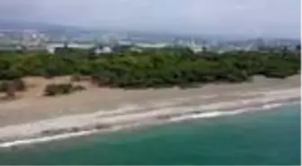 Erdemli Talat Göktepe Tabiat Parkı'nda temizlik çalışmaları
