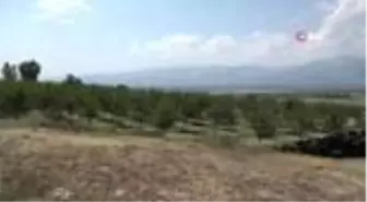 Erzincan'da 95 ülkeye vişne ihracatı
