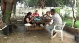 Giyilmeyen ayakkabılar kuşlara rengarenk yuva oldu