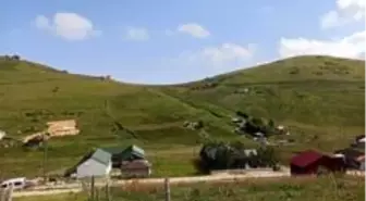 Honefter Yaylası sakinleri çaresizlik içinde içme suyu ve elektrik sorunlarının çözülmesini bekliyor