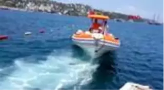 MUĞLA Bodrum'da deniz taksiye büyük ilgi