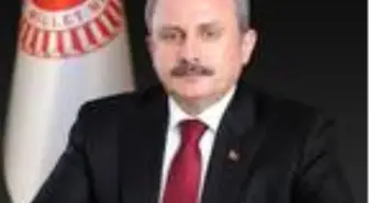TBMM Genel Kurulu, Meclis başkanı seçimi için toplandı (5)