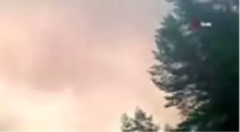 Ukrayna'da korkutan orman yangını: 4 ölü