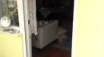 Yaşlı adam evinde ölü bulundu