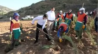 Nevşehir kalesi çevresinde çevre düzenleme ve peyzaj çalışmaları sürüyor