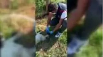 BURSA Polis memuru, baygınlık geçiren köpeğe elleriyle su içirdi