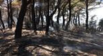 Çanakkale'de orman yangını çıktı (2)