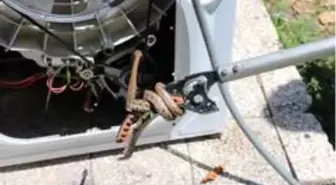İtfaiye ekipleri, içine giren yılanı çıkarmak için çamaşır makinesini paramparça etti
