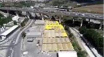 Kurbanlıklar pazara indi - Drone