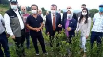 Son dakika güncel: Toprak Büyükşehir'le bereketleniyor