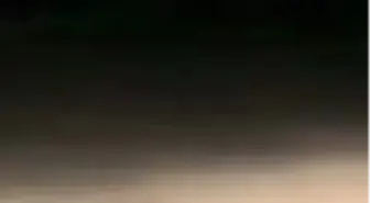 Dünyanın en ilginç hayvanlarından 'Kanguru Faresi' Ankara'da görüldü