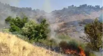 Elazığ'da 2 gün süren orman yangını söndürüldü