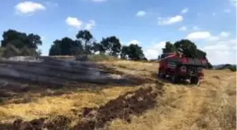 Çanakkale'de anız yangını ormana sıçramadan söndürüldü